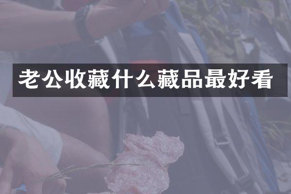 老公收藏什么藏品最好看