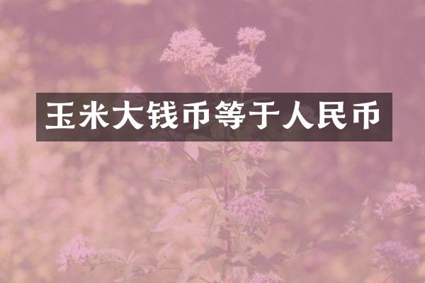 玉米大钱币等于