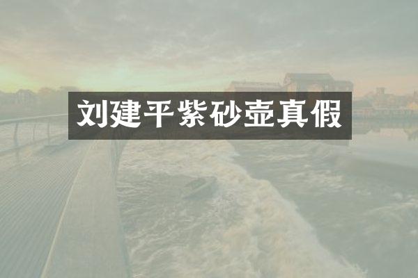 刘建平紫砂壶真假