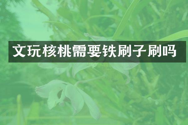文玩核桃需要铁刷子刷吗