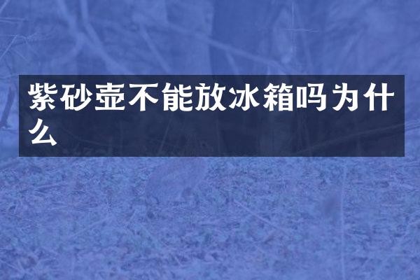 紫砂壶不能放冰箱吗为什么