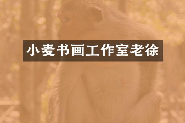 小麦书画工作室老徐