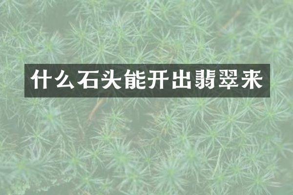 什么石头能开出翡翠来
