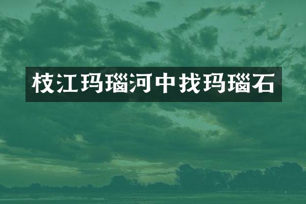枝江玛瑙河中找玛瑙石