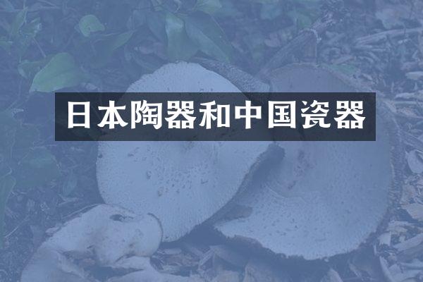 日本陶器和中国瓷器