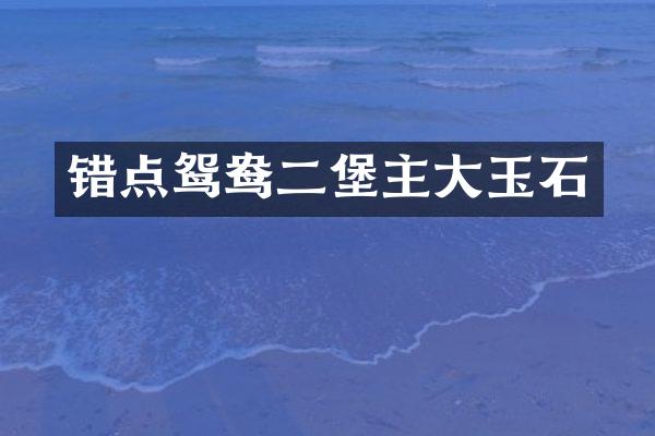 错点鸳鸯二堡主大玉石