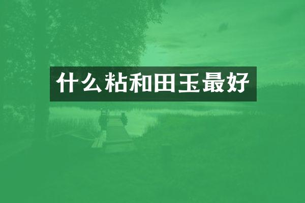 什么粘和田玉最好