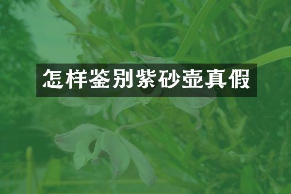 怎样鉴别紫砂壶真假