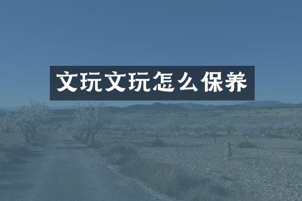 文玩文玩怎么保养