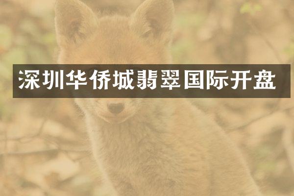 深圳华侨城翡翠国际开盘