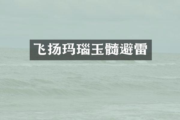 飞扬玛瑙玉髓避雷