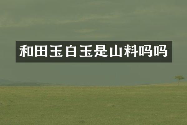 和田玉白玉是山料吗吗