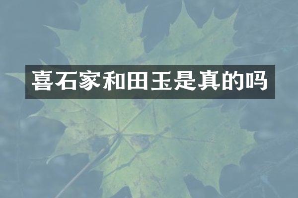 喜石家和田玉是真的吗