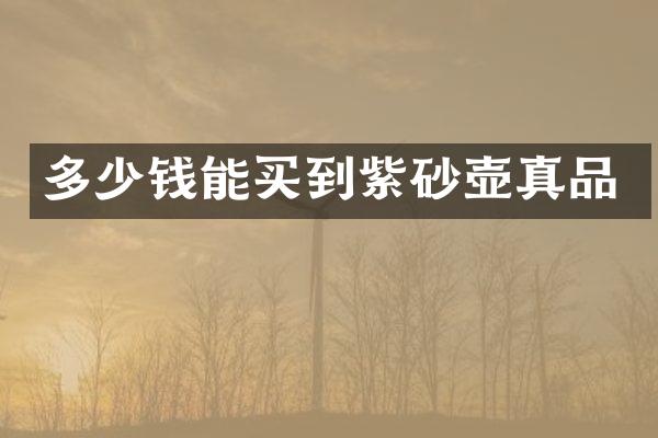 多少钱能买到紫砂壶真品