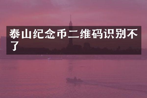泰山纪念币二维码识别不了