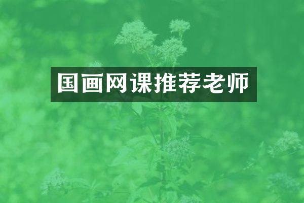 国画网课推荐老师