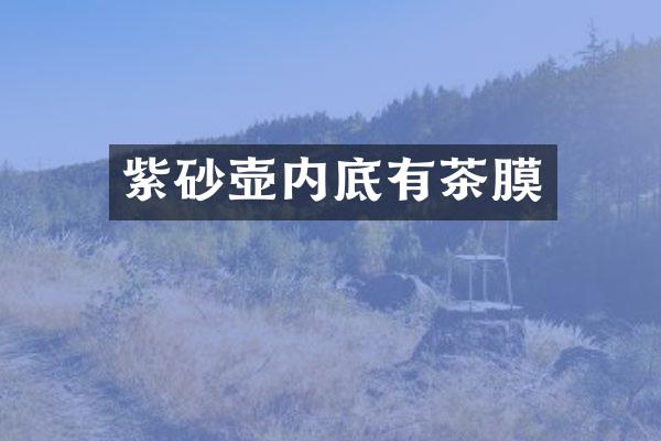 紫砂壶内底有茶膜