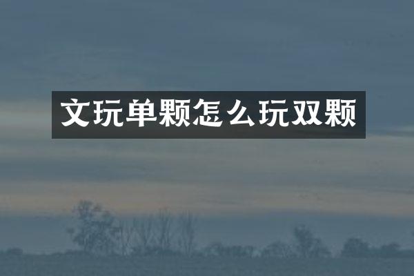 文玩单颗怎么玩双颗