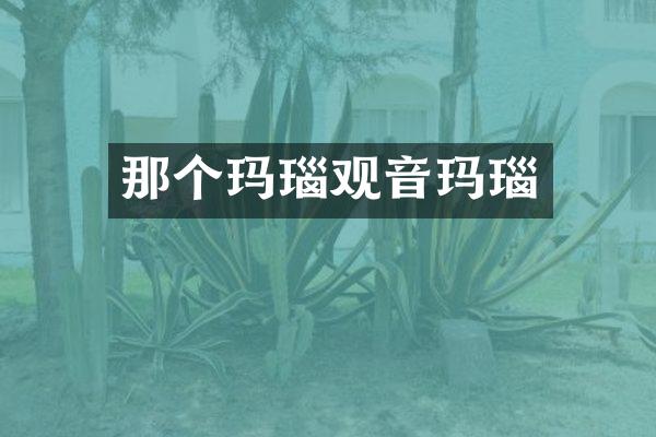 那个玛瑙观音玛瑙