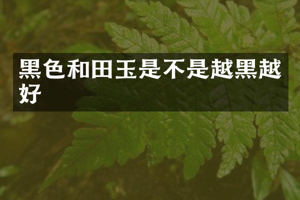 黑色和田玉是不是越黑越好