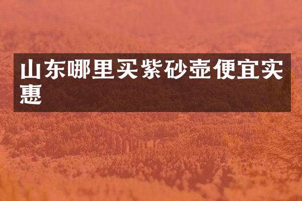 山东哪里买紫砂壶便宜实惠