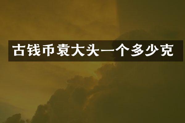 古钱币袁大头一个多少克