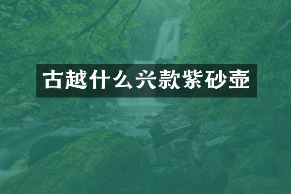 古越什么兴款紫砂壶