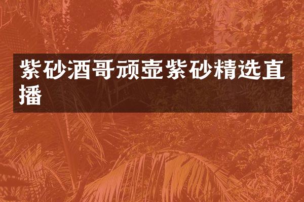 紫砂酒哥顽壶紫砂精选直播