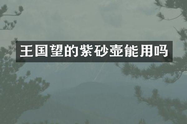 王国望的紫砂壶能用吗