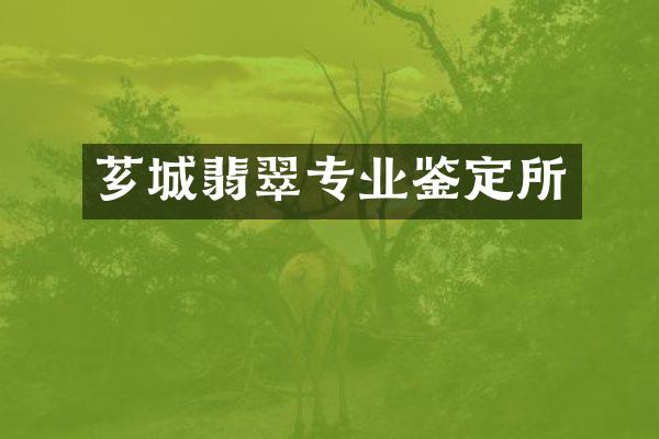 芗城翡翠专业鉴定所