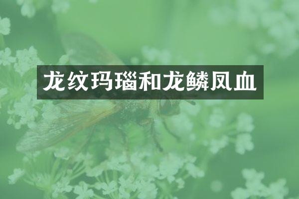 龙纹玛瑙和龙鳞凤血