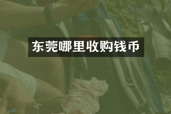 东莞哪里收购钱币