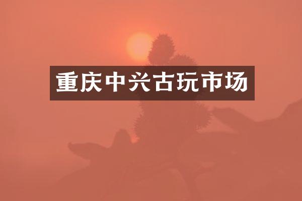 重庆中兴古玩市场