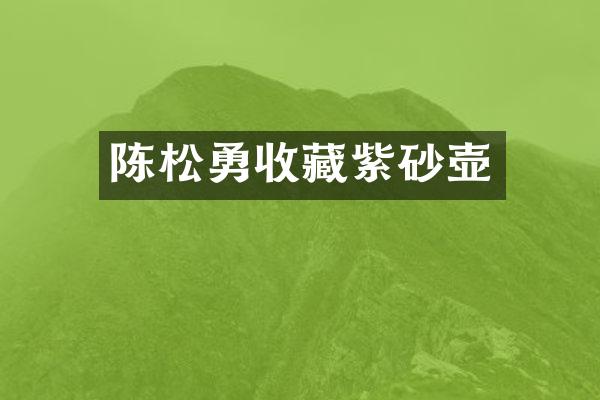 陈松勇收藏紫砂壶