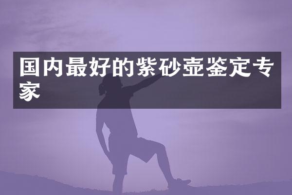 国内最好的紫砂壶鉴定专家