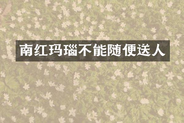 南红玛瑙不能随便送人