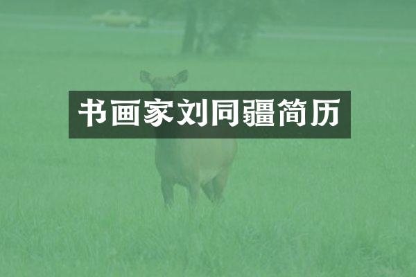 书画家刘同疆简历