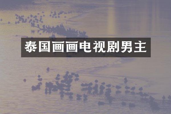 泰国画画电视剧男主