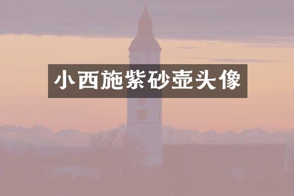 小西施紫砂壶头像