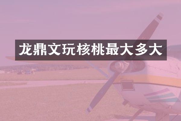 龙鼎文玩核桃最大多大