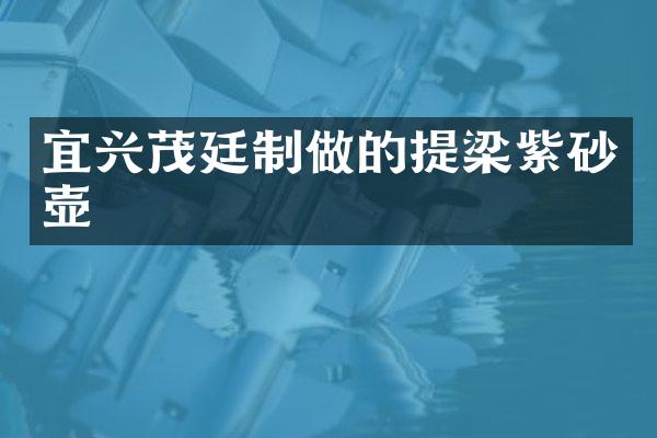 宜兴茂廷制做的提梁紫砂壶