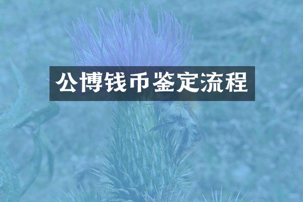 公博钱币鉴定流程