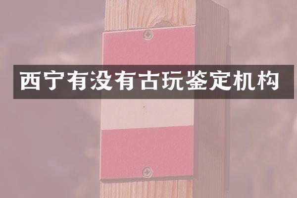 西宁有没有古玩鉴定机构