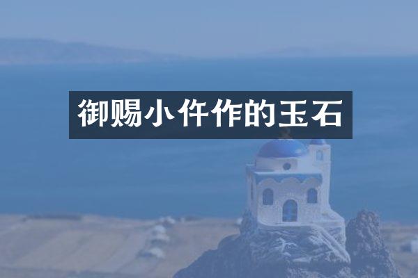 御赐小仵作的玉石
