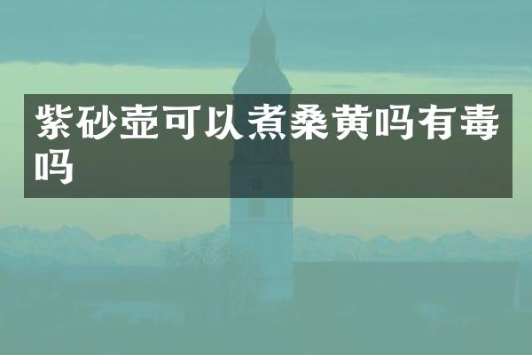 紫砂壶可以煮桑黄吗有毒吗