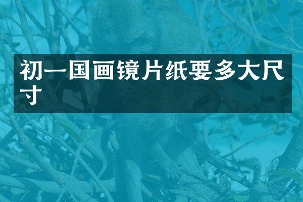 初一国画镜片纸要多大尺寸