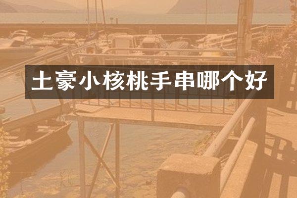 土豪小核桃手串哪个好