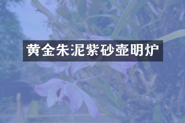 黄金朱泥紫砂壶明炉