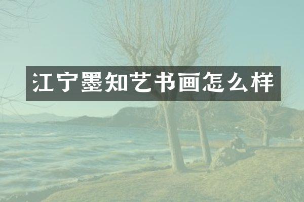 江宁墨知艺书画怎么样