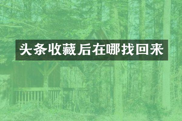 头条收藏后在哪找回来